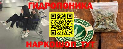 индика Белореченск