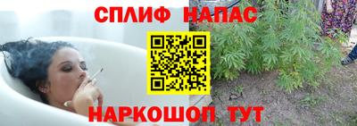 мет Бердск