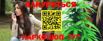 мет Бердск