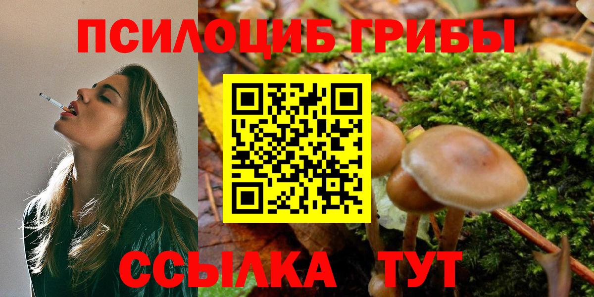 Псилоцибиновые грибы ЛСД Дюртюли