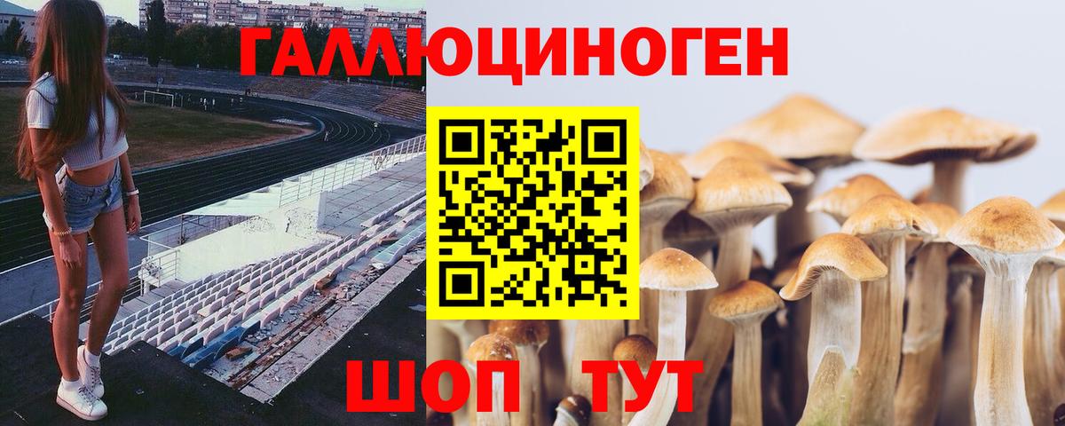 Псилоцибиновые грибы мухоморы  Вход с VPN  Дюртюли 